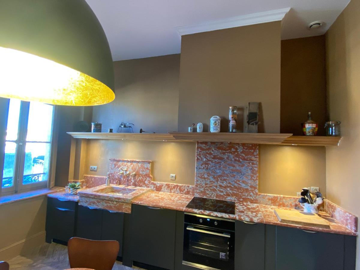 Demeure Saint Louis Historic Manor, 700m, Parking,a C,clim,wifi, Heated Pool, View Carcassonne