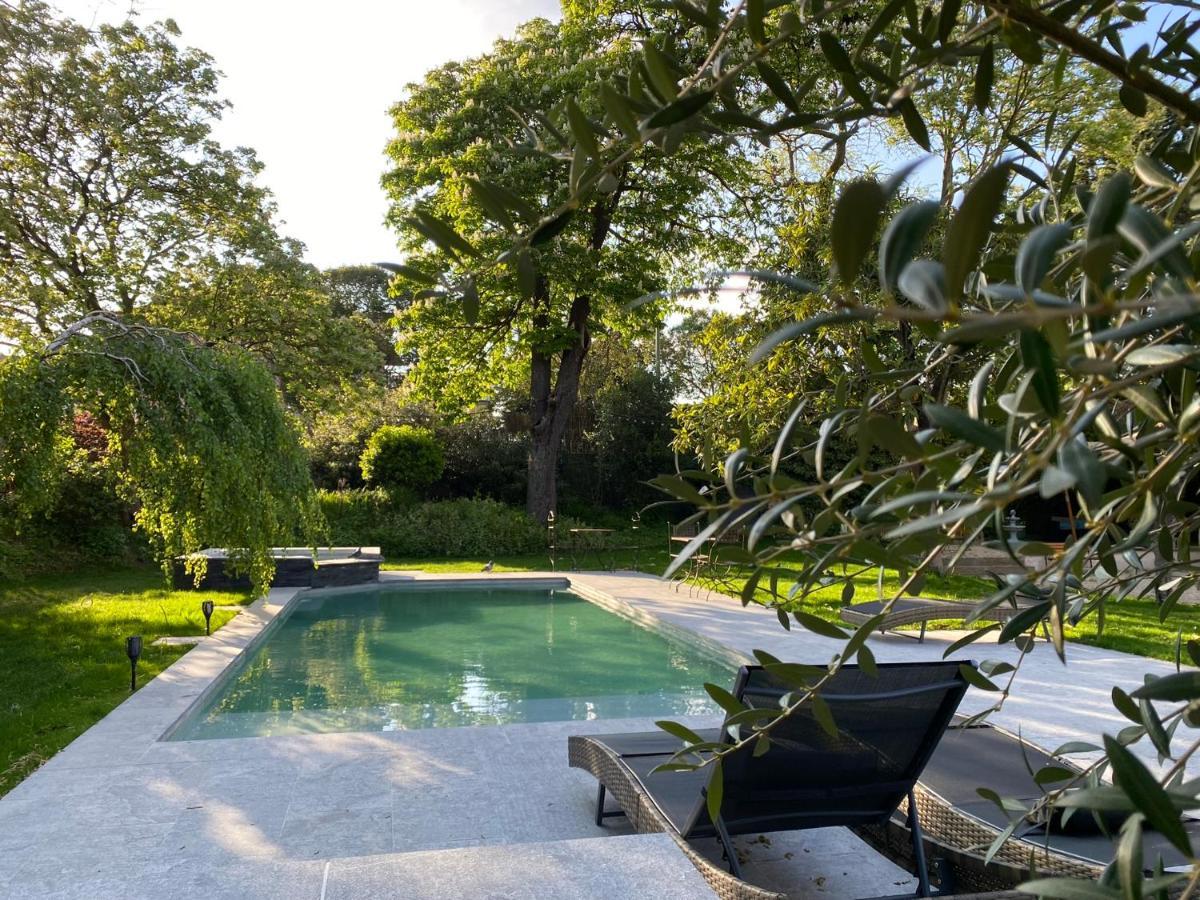 Demeure Saint Louis Historic Manor, City 700M, Parking,A C,Clim,Wifi, Heated Pool, City View Carcassonne
